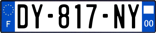 DY-817-NY