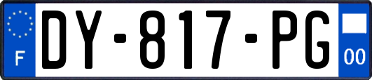 DY-817-PG