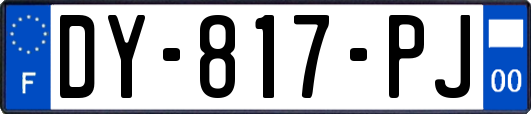 DY-817-PJ