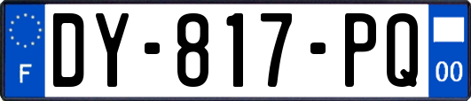 DY-817-PQ