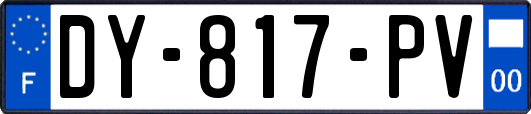 DY-817-PV