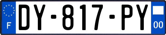 DY-817-PY