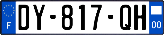 DY-817-QH