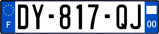 DY-817-QJ