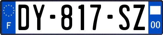 DY-817-SZ