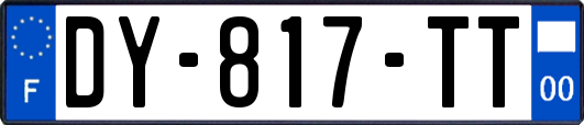 DY-817-TT