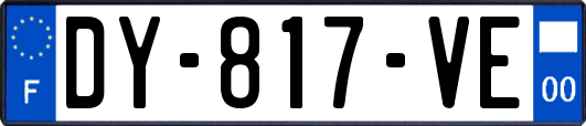 DY-817-VE