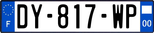 DY-817-WP