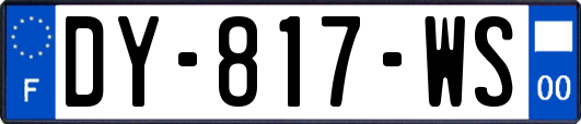 DY-817-WS