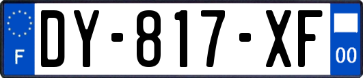 DY-817-XF