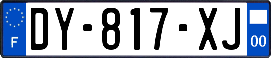 DY-817-XJ