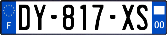 DY-817-XS