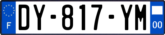 DY-817-YM