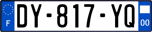 DY-817-YQ