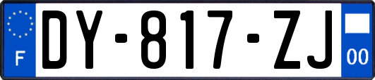 DY-817-ZJ