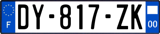 DY-817-ZK