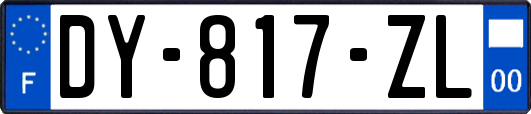 DY-817-ZL