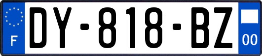 DY-818-BZ