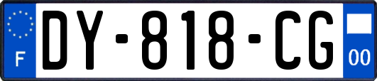 DY-818-CG