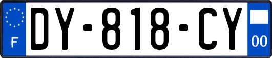 DY-818-CY