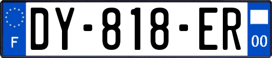 DY-818-ER