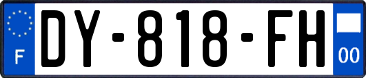 DY-818-FH