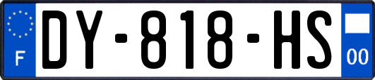 DY-818-HS