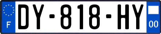 DY-818-HY