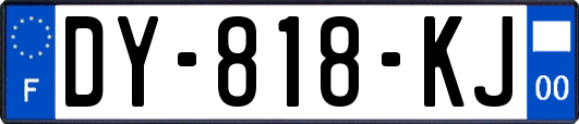 DY-818-KJ