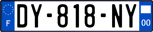 DY-818-NY