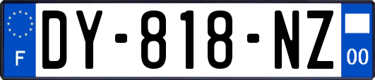 DY-818-NZ