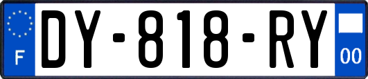 DY-818-RY