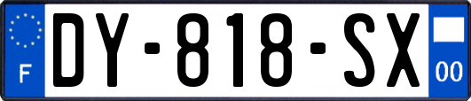 DY-818-SX