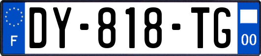 DY-818-TG