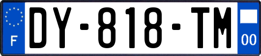 DY-818-TM