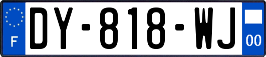 DY-818-WJ