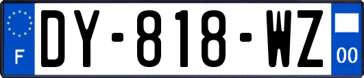 DY-818-WZ