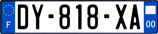 DY-818-XA