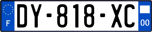 DY-818-XC