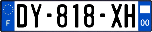 DY-818-XH