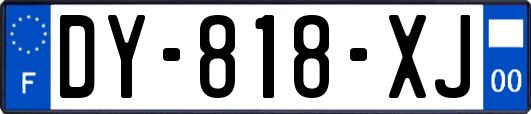 DY-818-XJ