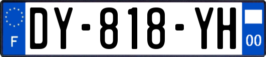 DY-818-YH