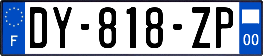 DY-818-ZP