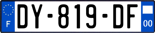 DY-819-DF