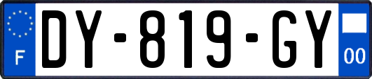 DY-819-GY