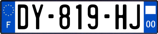 DY-819-HJ