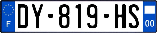 DY-819-HS