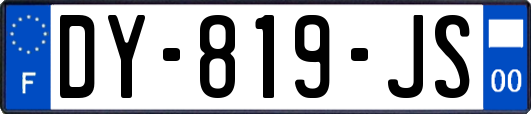 DY-819-JS