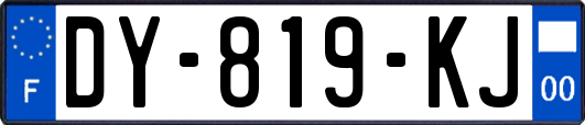 DY-819-KJ