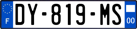 DY-819-MS